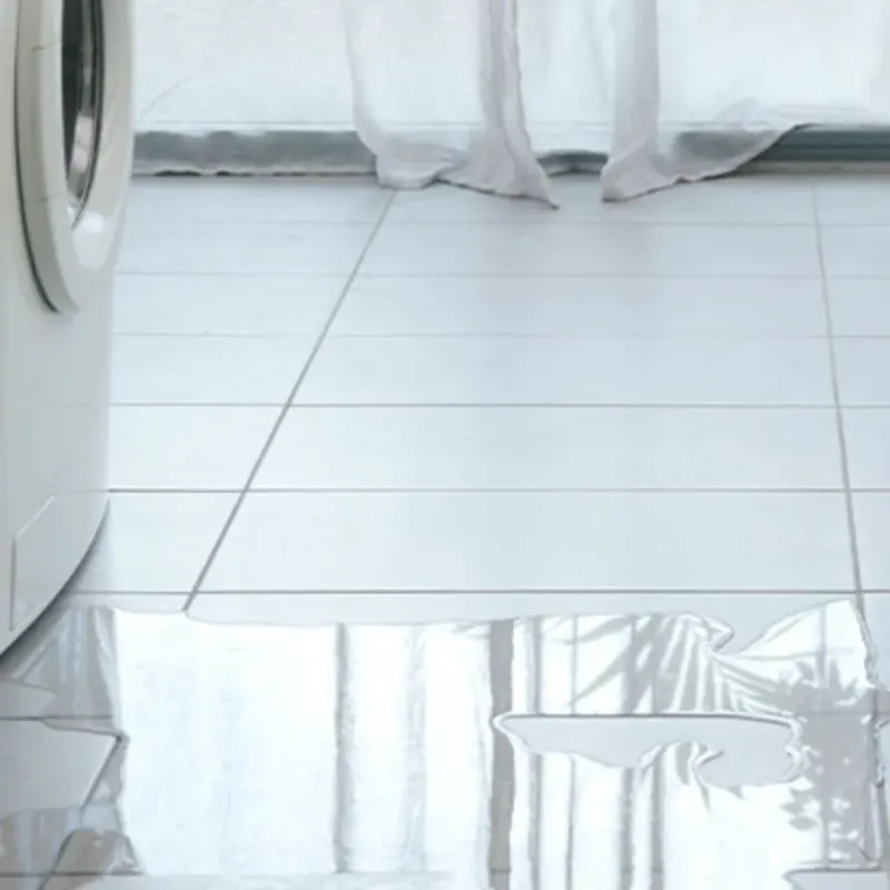 Appliance Leak Cleanup in Diamond, IL