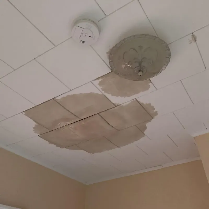 Ceiling Water Damage Repair in Diamond, IL