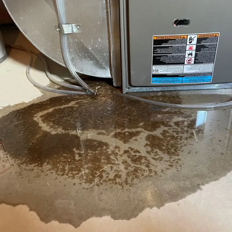 Pipe Burst and Leak Restoration in Diamond, IL