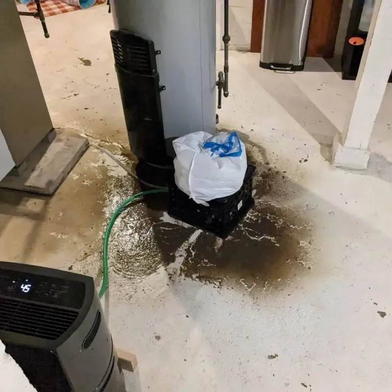Sewage Backup Cleanup Service in Diamond, IL